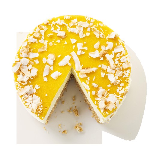 TAM_CHEESECAKE PASSIEVRUCHT CUT-135_500x500 TAM_CHEESECAKE PASSIEVRUCHT CUT-135_500x500